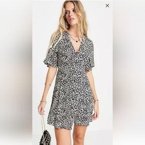 Animal Print Skater Dress NWT